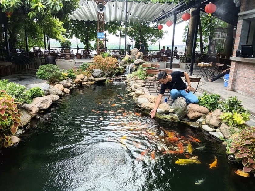 thiet ke quan cafe san vuon ket hop ho ca koi